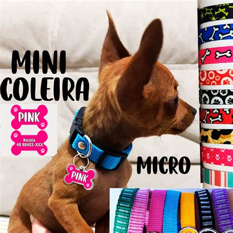 Coleira Para Filhote De Cachorro
