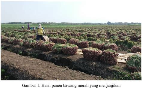 Pengendalian Penyakit Bercak Ungu Trotol Pada Bawang Merah Nufarm