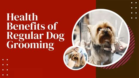 Ppt Ultimate Guide To Dog Grooming Essentials Powerpoint Presentation