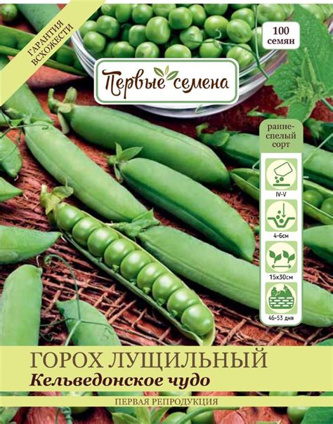 Купить семена Горох лущильный Кельведонское чудо в магазине Первые ...