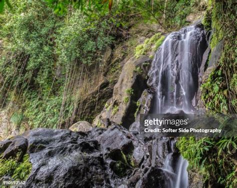 El Yunque Waterfalls Photos and Premium High Res Pictures - Getty Images