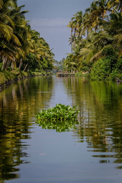 photography   backwaters  kerala india