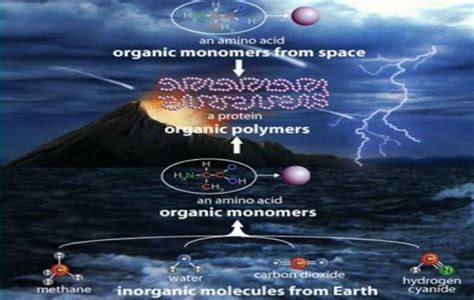 Assertion Organic Compounds First Evolved On Earth To Support The Origin Of Life Were Proteins