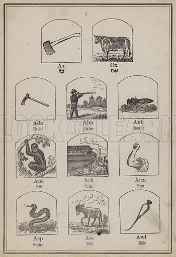 Ax Ox Adz Aim Ant Ape Ark Arm Asp Ass Awl Stock Image Look And Learn