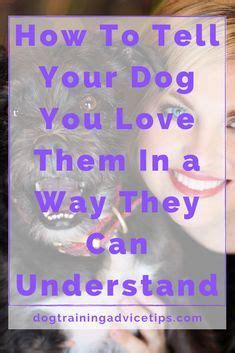 how to tell a dog you love them