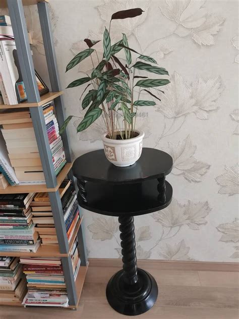 Стайно растение Калатея | Цветя, декоративни растения | София Цената е ...