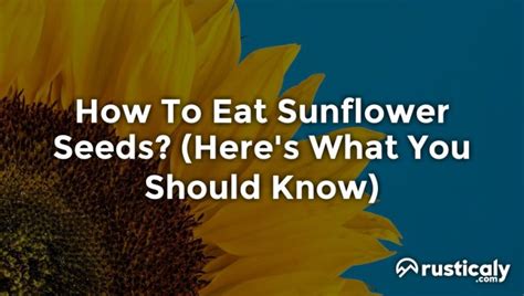 How To Eat Sunflower Seeds Complete And Easy Answer