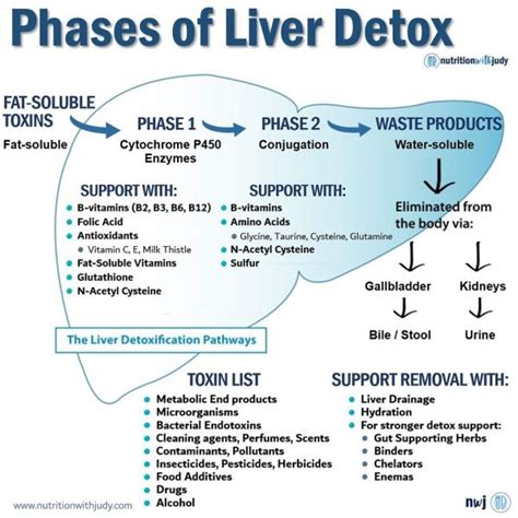 Microblog The Phases Of Liver Detox Nutrition With Judy