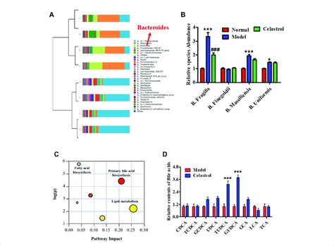 Celastrol Regulates Gut Microbiota And Bile Acid Metabolism In Rats