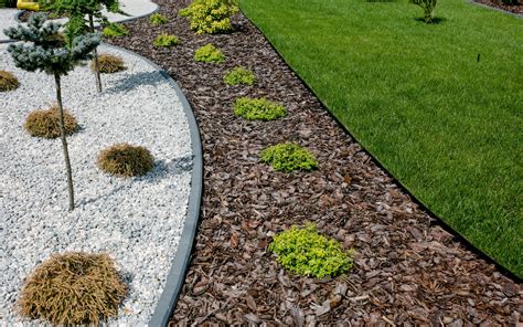 Цветная кора для ландшафтного дизайна (64 фото)