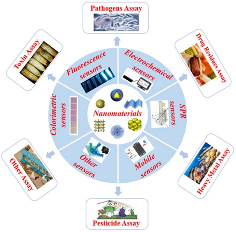 Novel Sensors And Biosensors Based On Nanomaterials For Food Detection