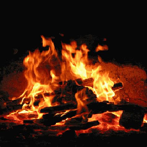 Animated Campfire Wallpaper 370 Mb Latest Version For Free