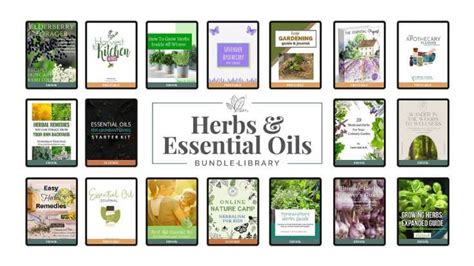 Herbs and Essential Oils: Isn't It Time to Take Care of YOU?