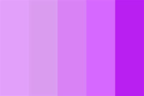 Lavender Shades Color Palette Lavender Color Palette Color Palette