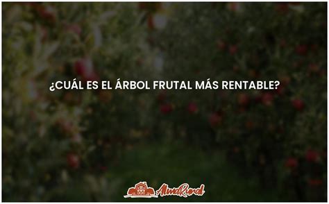 El árbol frutal más rentable una guía completa ALMARURAL