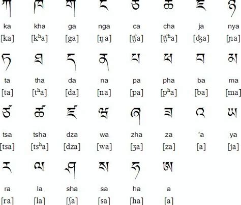 learn ladakhi  language  ladakh pali script learn nepali