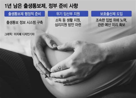 1년뒤 출생통보제 정보 시스템 만든다그래도 핵심은 보호출산제 네이트 뉴스