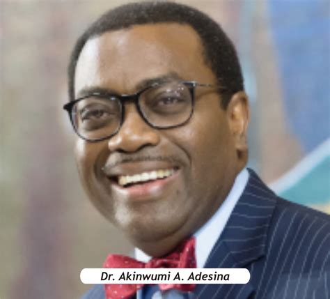 Dr Adesina Afdb 8th President Sworn In For Second Term Liberia News