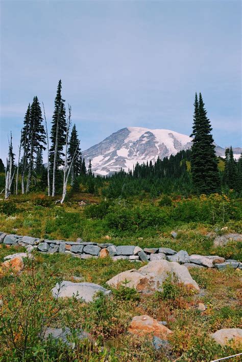 Mount Rainier National Park In Washington State [oc] [4032 X 3024] R Earthporn