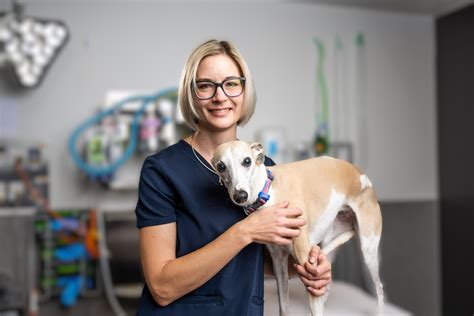 meet  team queensland veterinary specialists