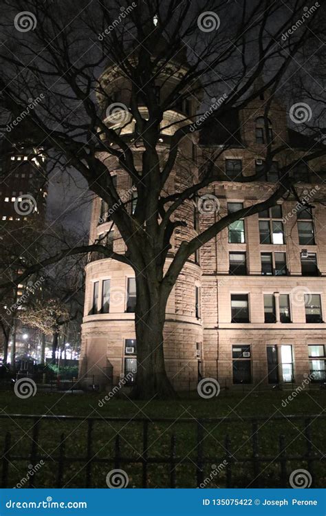 Nighttime View of Part of the American Museum of Natural History Editorial Photography - Image ...