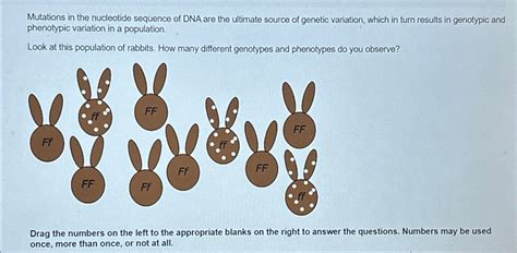 Solved Mutations in the nucleotide sequence of DNA are the | Chegg.com