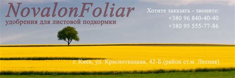 Novalon Новалон Foliar - для листовой подкормки DoktorTarsa (Турция)