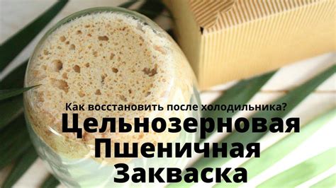 Цельнозерновая пшеничная закваска для хлеба КАК ВОССТАНОВИТЬ ЗАКВАСКУ ...