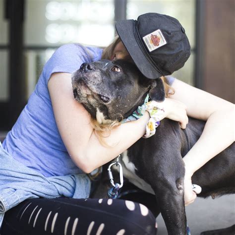 How to qualify for the best foster dogs near me list 13