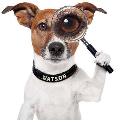 Watchdog RI Home