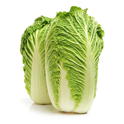 How To Grow Chinese Cabbage Diy Food Gardening Grow To Eat The