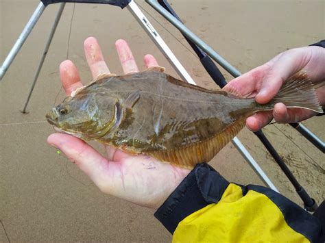 Edds Fishing Tales.: South Shields big beach