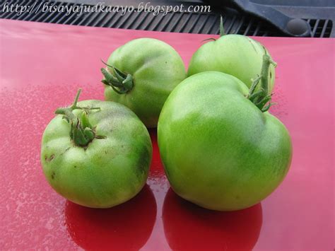 Inato Lang Filipino Cuisine And More Fried Green Tomatoes