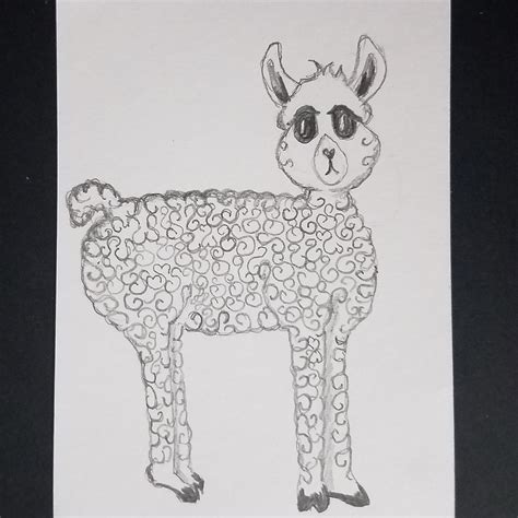 Llama Sketch At Explore Collection Of Llama Sketch