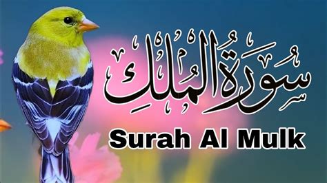 Surahalmulk Quran Surah Al Mulk Full Beautiful Recitation