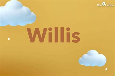 explore willis  meaning  guide   origin history charm