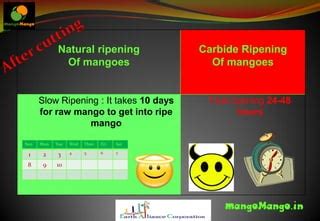 How to recognise carbide ripen mangoes? | PPT