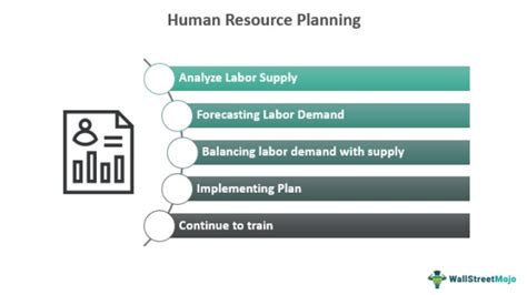 Human Resource Planning What Is It Steps Process Examples