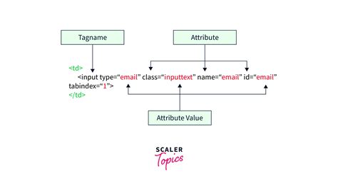 Locators In Selenium Scaler Topics