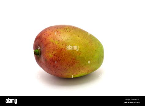 The fresh mango Stock Photo - Alamy