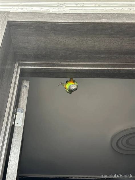 Katya Free Photos 43 Nude Pics XHamster