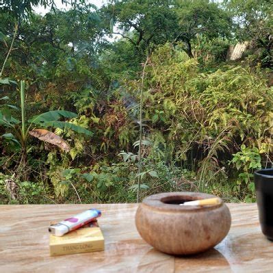 Phim Sex on Twitter Thanh niên may mắn chăn được chị mbbg múp trên https t co rrupDQMK8Q