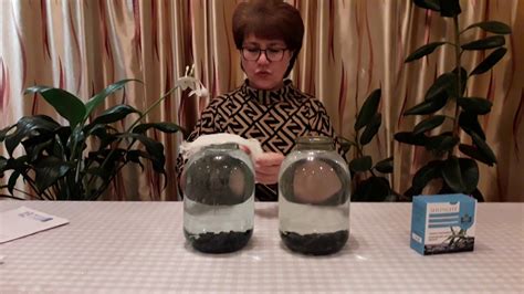 шунгитовая вода, как приготовить и где применяется - YouTube