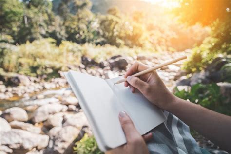 nature journaling  beginners guide   started