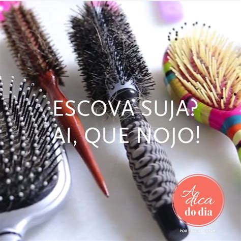 Como Limpar Escova De Cabelo ADicadoDia Escovas De Cabelo Escova