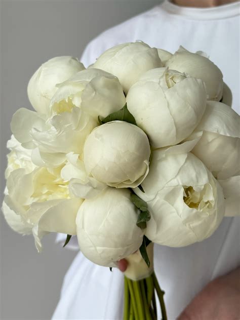Букет невесты из белых пионов Duchesse de Nemours авторский