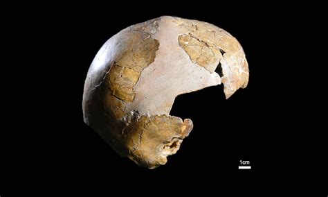 Human-Neanderthal Hybrid Skeleton Discovery Rewrites History – Archyde