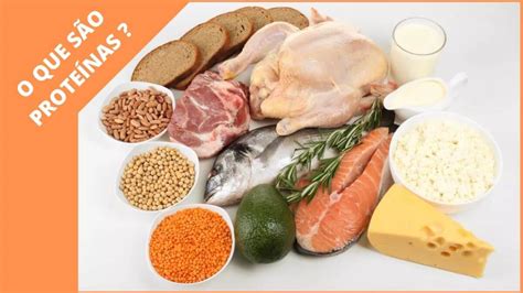 As Proteínas São Indispensáveis Para A Construção Do Nosso Organismo