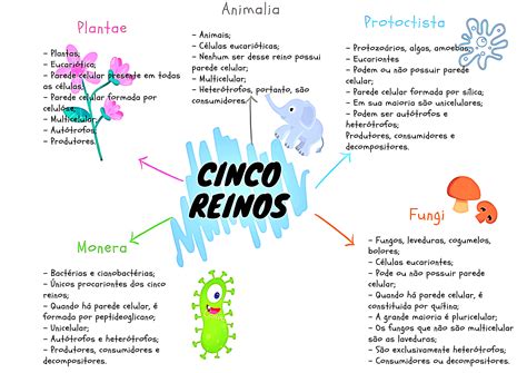 Reinos Seres Vivos 3