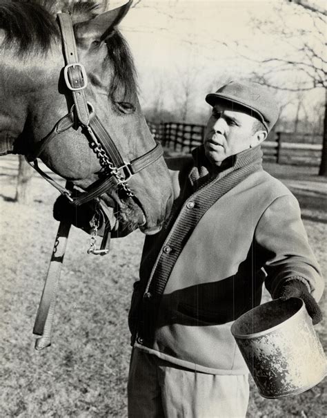 Never forgotten: Champion race horse and stallion Northern Dancer, with
